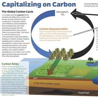 thumbnail for publication: Capitalizing on Carbon